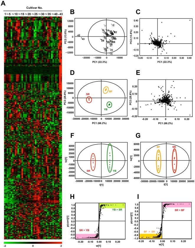 Revolutionizing‍ Food Analysis: The impact of Metabolomics on Personalized Nutrition